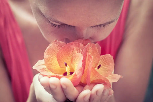 The Power of Smell – Sleepy Time